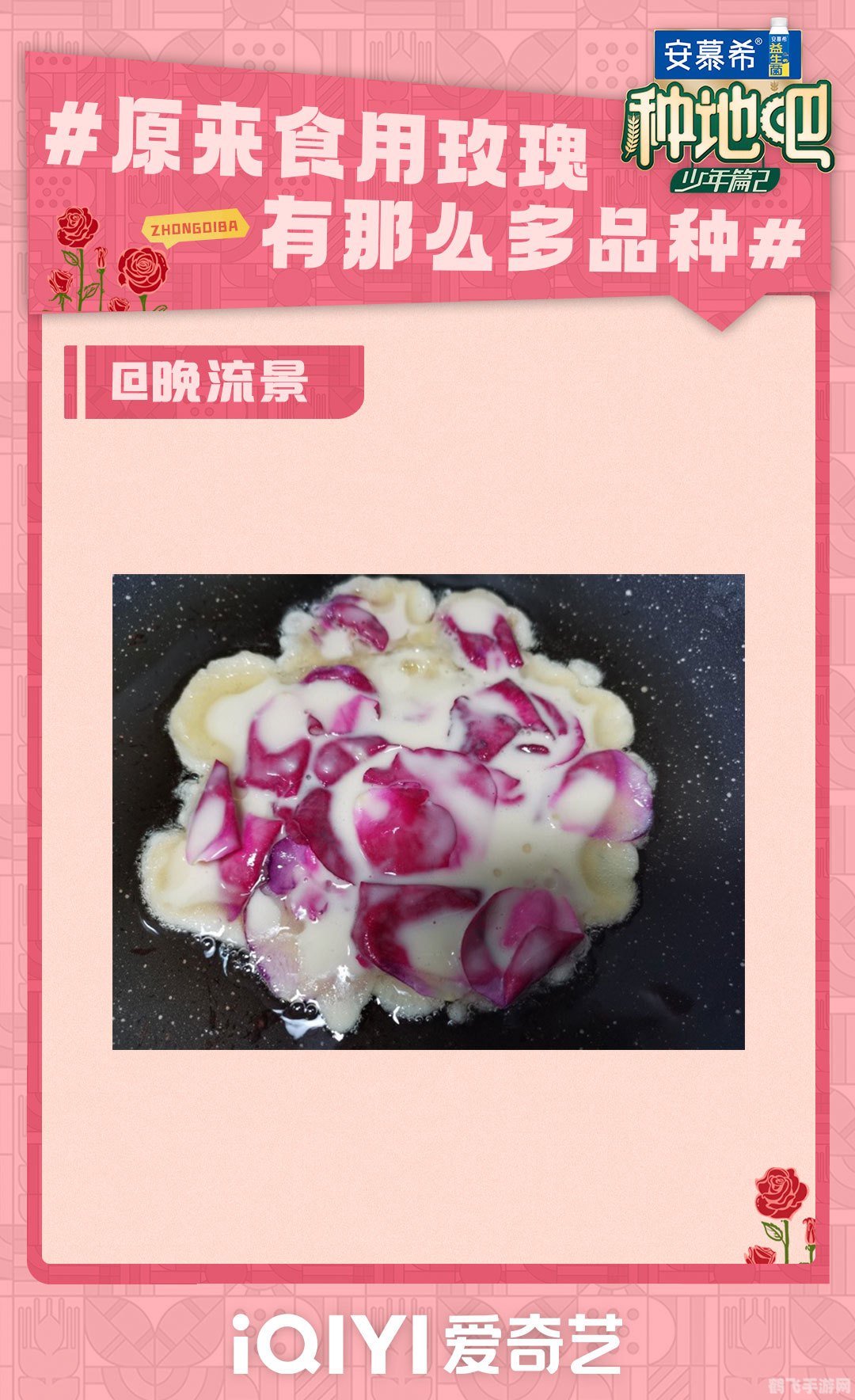 玫瑰刺身禾野,玫瑰刺身禾野游戏攻略与心得分享