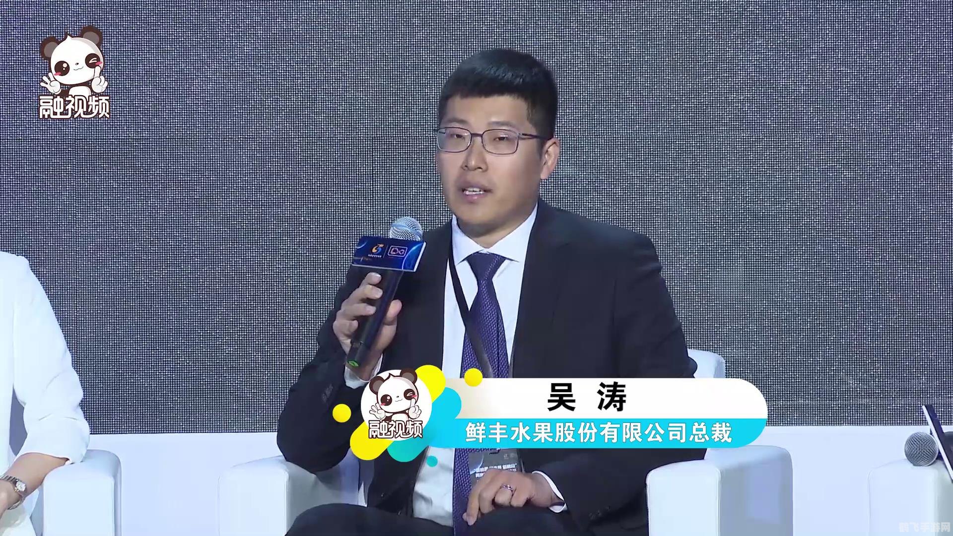 吴涛梗解析与手游攻略大揭秘