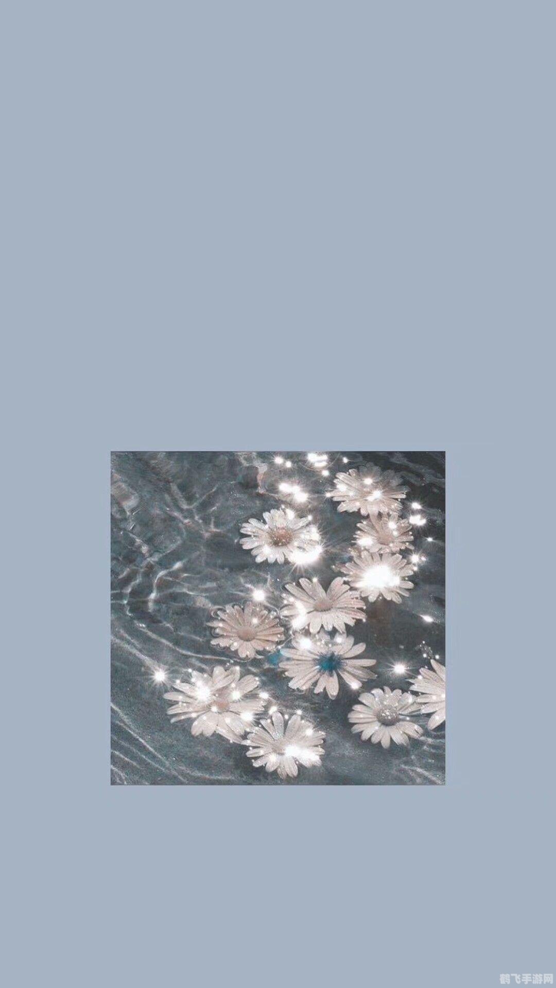 密码是我心上人的生日壁纸,揭秘手游中的隐藏密码,以心上人生日为壁纸的浪漫攻略