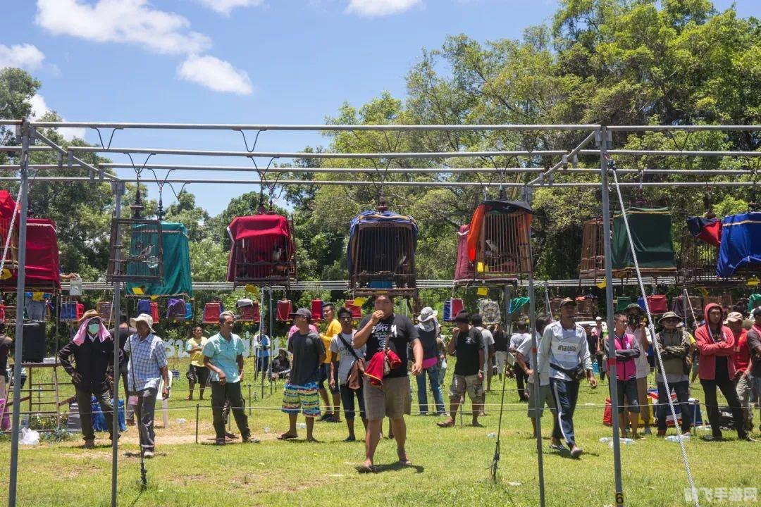 QQ天堂岛游戏，打造你的梦幻度假天堂