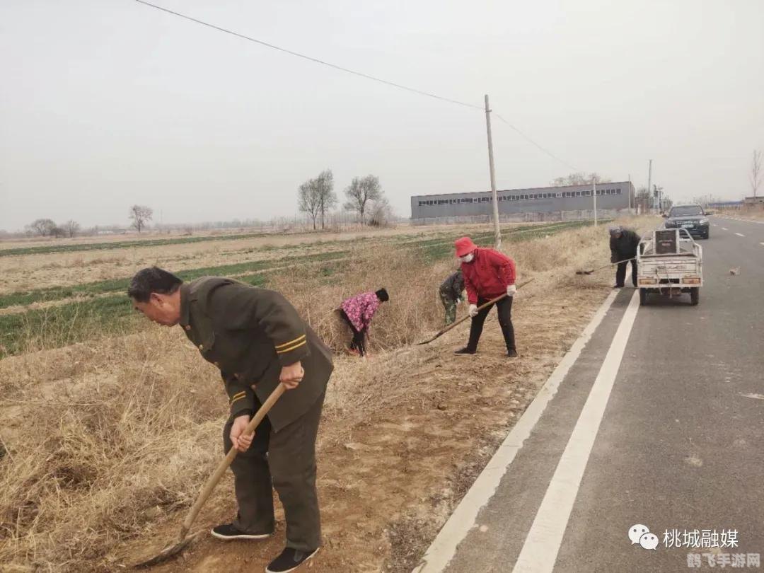 羊了个羊手游攻略，挑战智力与运气的消除之旅