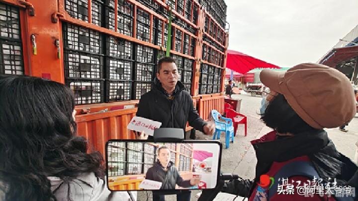 多吃菠萝什么梗,大菠萝的甜蜜冒险,手游中的隐藏攻略