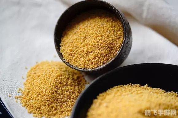 魔力宝贝贡品系统全解析，探秘寻回被盗贡品的冒险之旅！