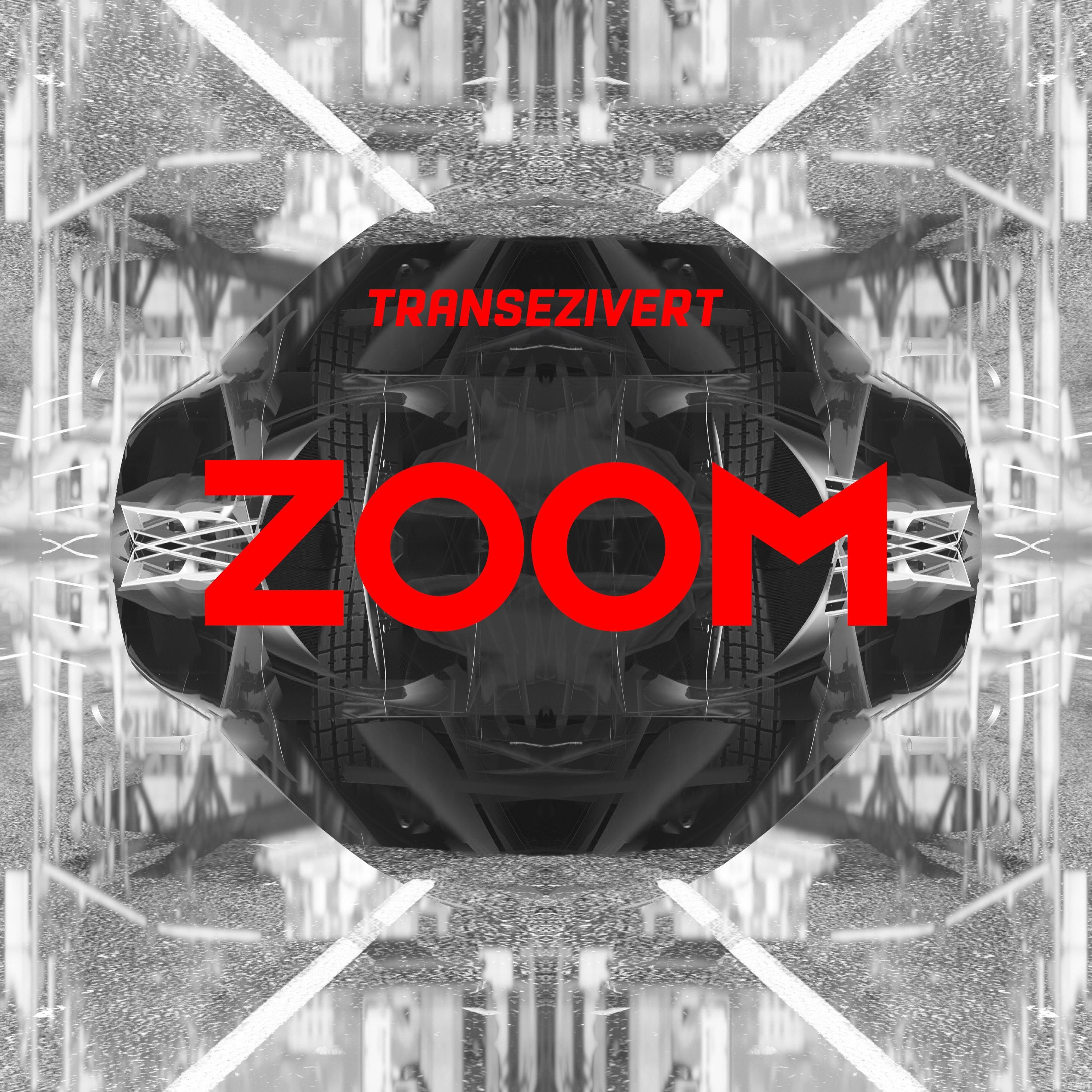 zoom与人性zoomsk,Zoomsk游戏
