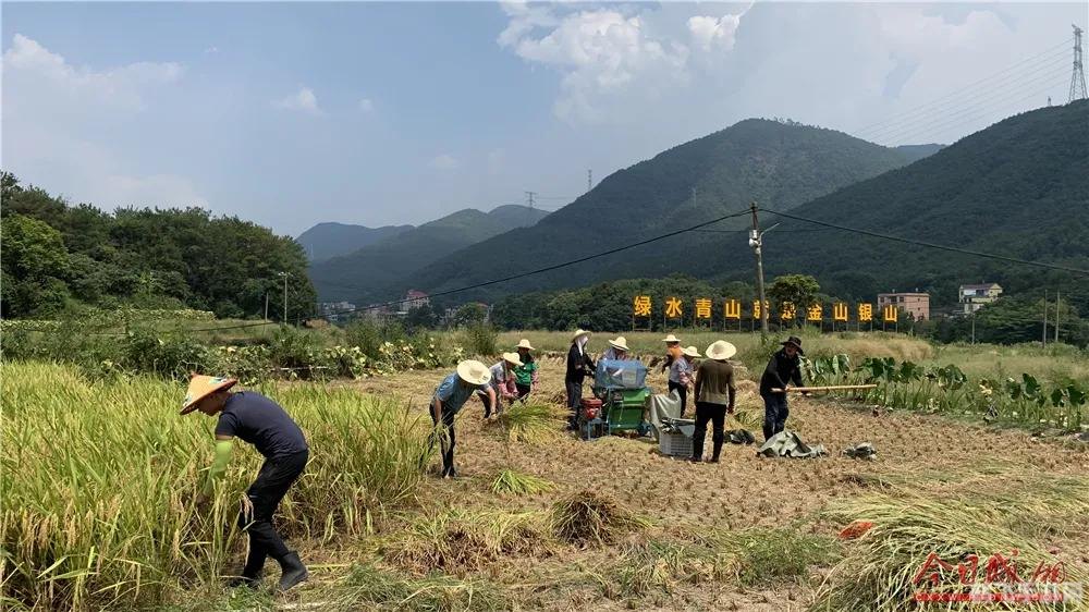 秋葵草莓樱桃榴莲大全,秋葵草莓樱桃榴莲大全手游攻略，掌握这些技巧，成为果园大亨！