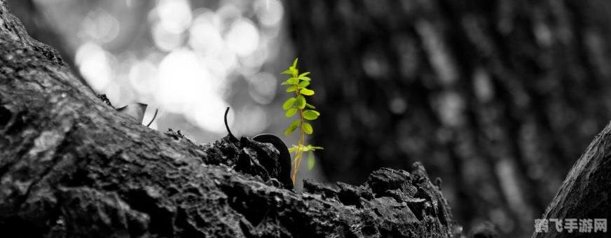 悸动者之魂手游攻略,探索未知,悸动心灵的冒险之旅