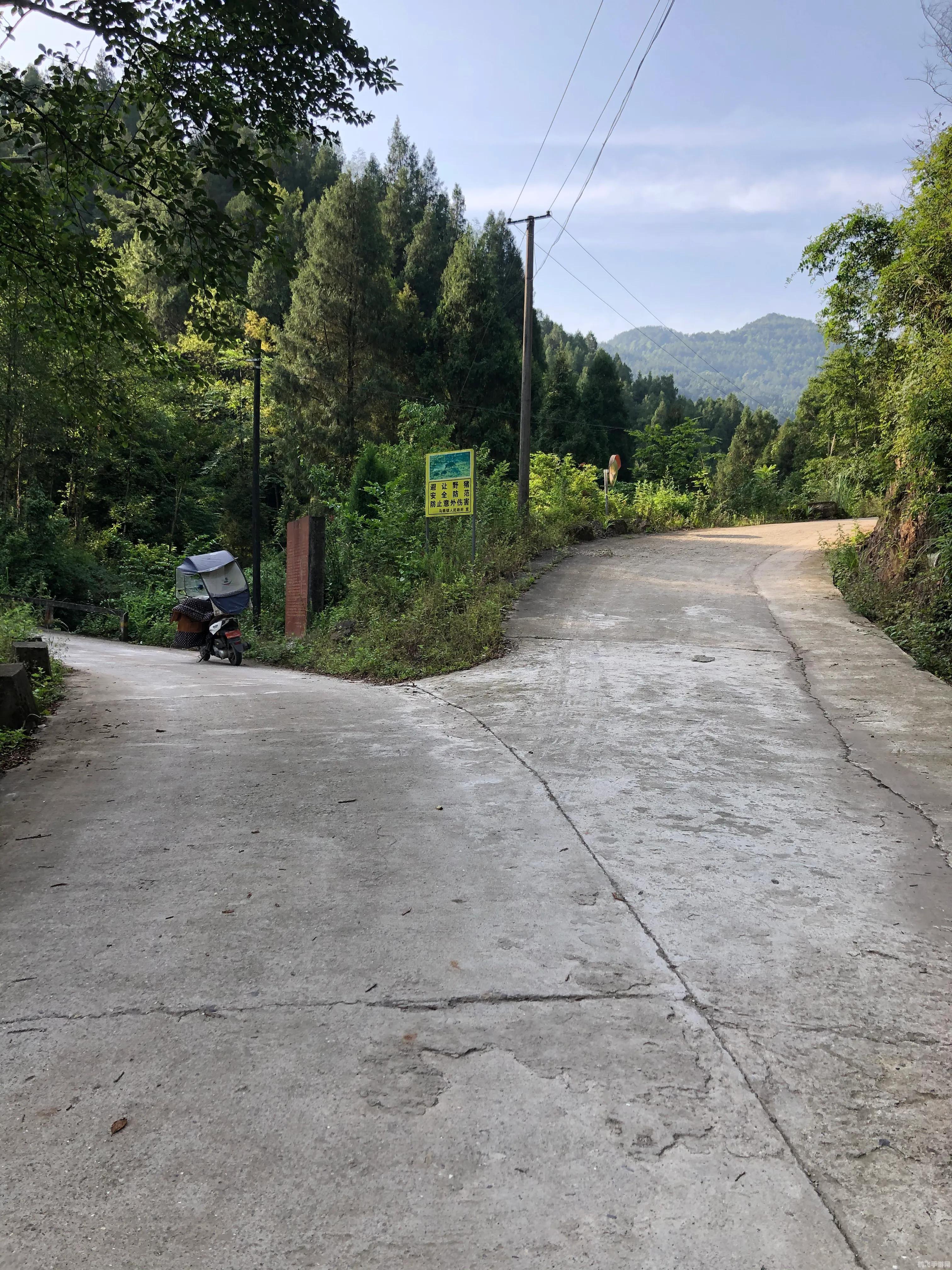 探秘神秘大陆，手游新玩法与攻略指南