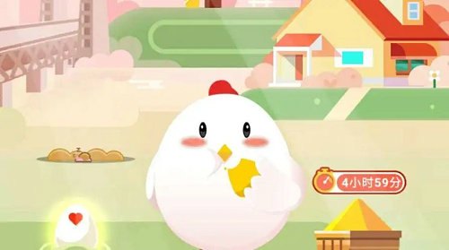 小鸡庄园答题攻略,轻松获取饲料,助力小鸡快速成长