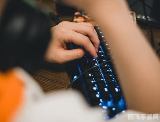 键盘达人,指尖上的速度与激情