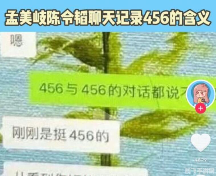 手游玩家必知，456梗全解析与玩法攻略