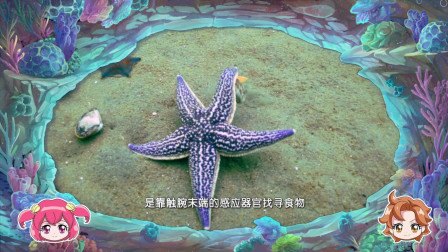 海星有大脑吗,深海探险，海星奇缘手游攻略