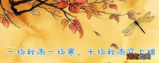 秋雨寒来，手游温暖相伴——揭秘一场秋雨一场寒的科学依据及手游攻略