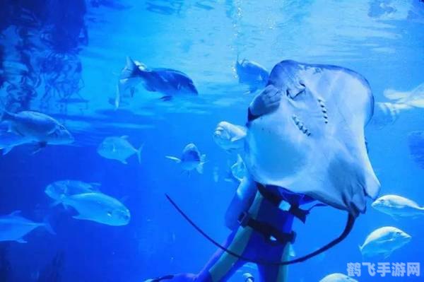 萨卡班甲鱼养殖攻略，打造你的神秘深海世界