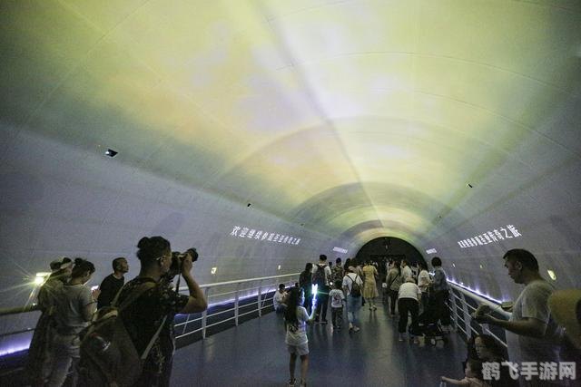 萨卡班甲鱼养殖攻略,打造你的神秘深海世界