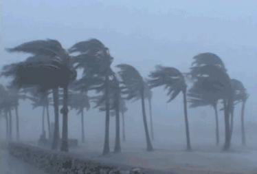 手机最准的天气预报是哪一个,探寻手机最准天气预报应用——全方位比较与推荐