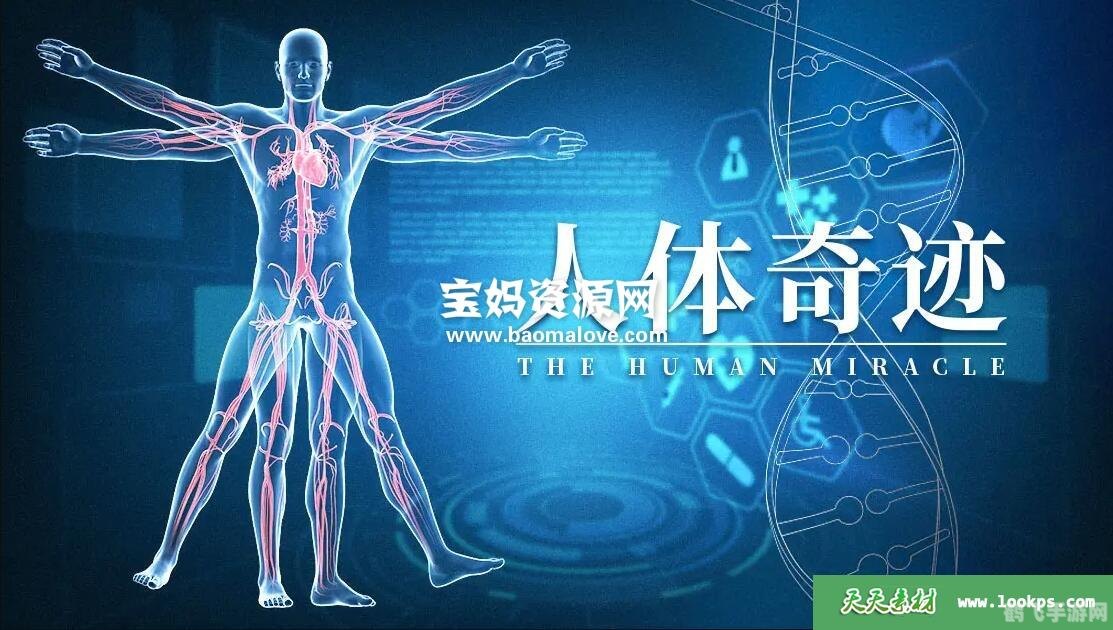 人体浏览器探秘,穿越人体的奇妙冒险
