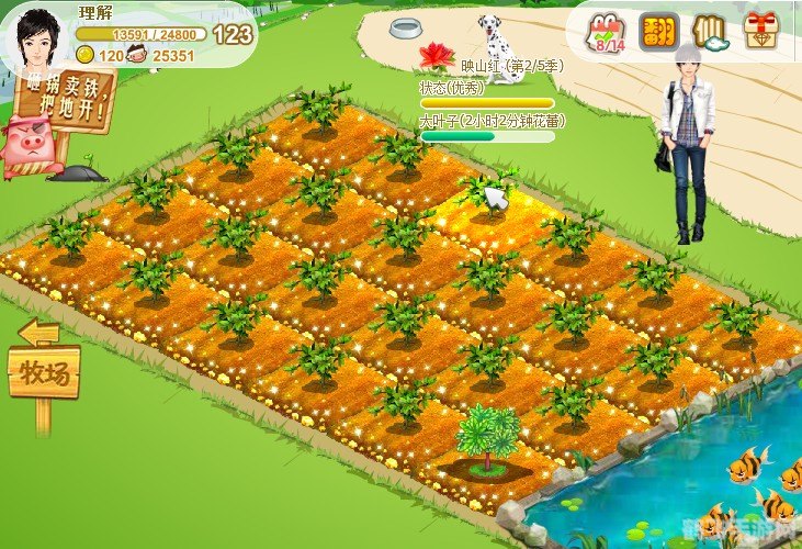 qq农场最高多少级,QQ农场最高等级揭秘,玩家可冲刺的256级高峰 qq农场最高多少级,QQ农场最高等级揭秘,玩家可冲刺的256级高峰