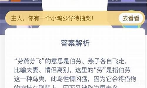 劳燕分飞中的劳揭秘，手游攻略大揭秘！