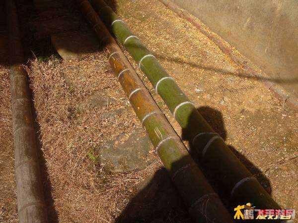 一根竹竿有2个头 2根半竹竿有几个头,揭秘两根半竹竿的头数之谜