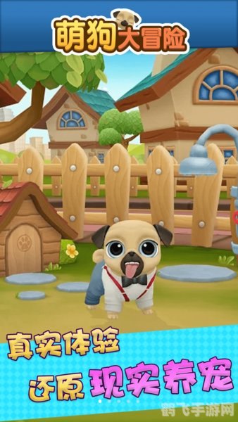 萌宠大冒险,狗子呼朋唤友,开启欢乐探险之旅!