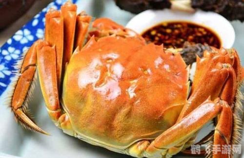 螃蟹的腮长在哪里,揭秘螃蟹的神秘之处，腮的藏身之所