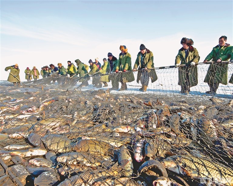 揭秘石人沟鱼的故乡,杜尔伯特县
