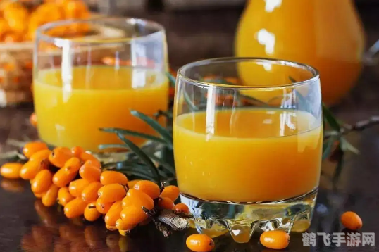 沙棘果和猕猴桃哪个维生素c高,沙棘果与猕猴桃，谁才是维生素C之王？