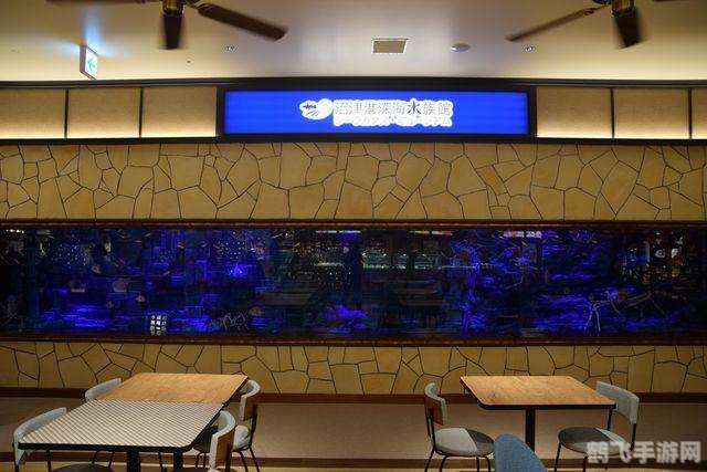 探秘水族盛宴，手游深海狂欢水族节日全攻略
