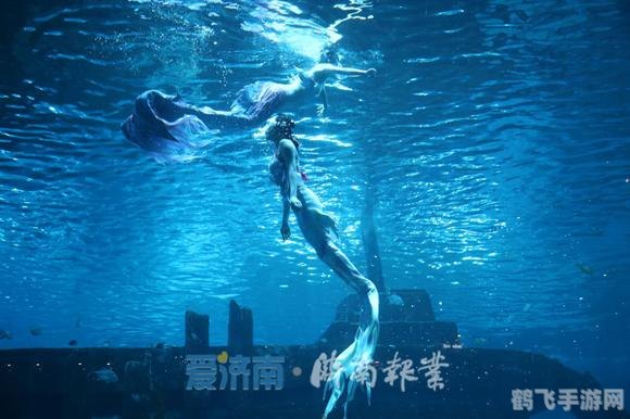 探秘水族盛宴，手游深海狂欢水族节日全攻略