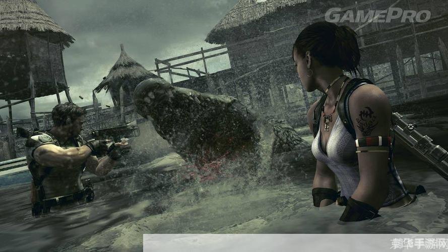 生化危机5致命错误解决方案大揭秘 生化危机5致命错误解决方案大揭秘