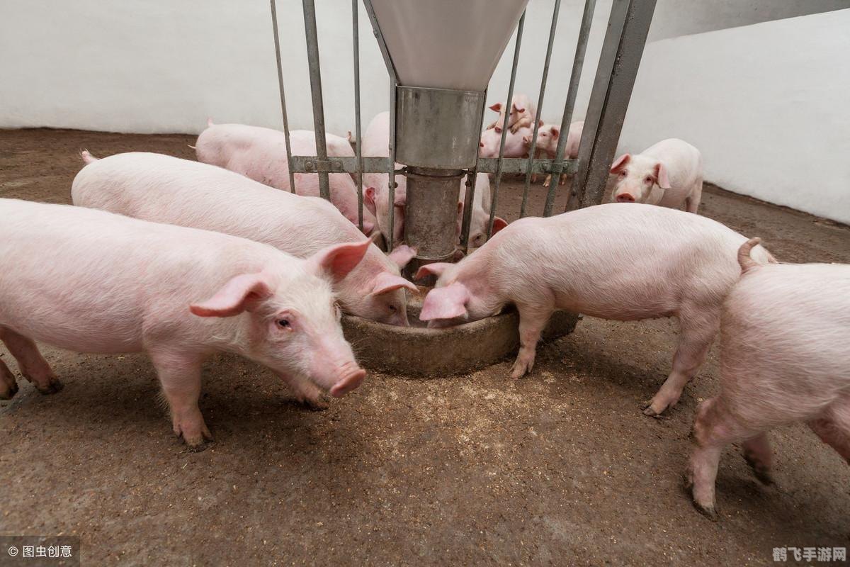 洛克王国红毛小Q全解析与攻略