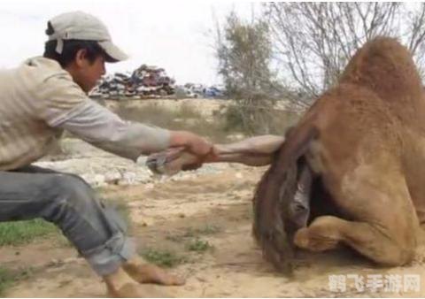 你能走出来吗2攻略,游戏简介