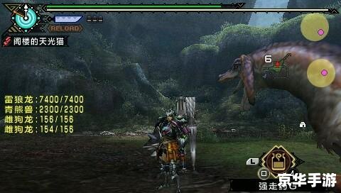 怪物猎人P3显血插件，战斗中的精准助手