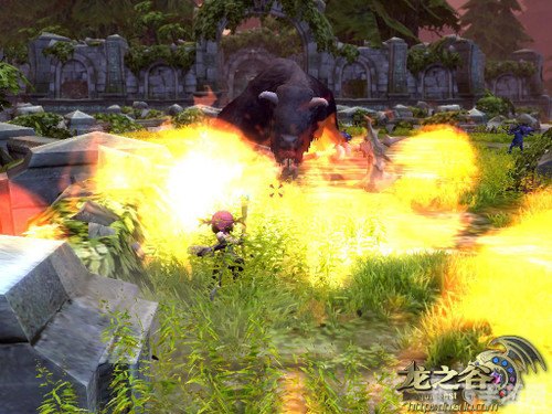 龙之谷五图手游玩法全攻略,探秘神秘地图,挑战终极BOSS!