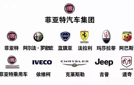 菲亚斯特点分析