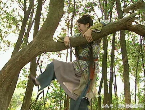 斗战神猴子职业深度攻略,灵动战场的霸主