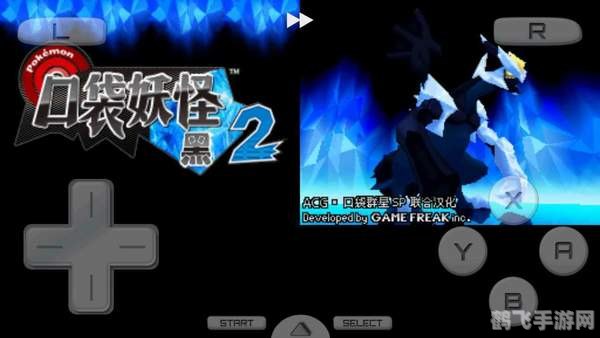 口袋妖怪黑金手指,口袋妖怪黑