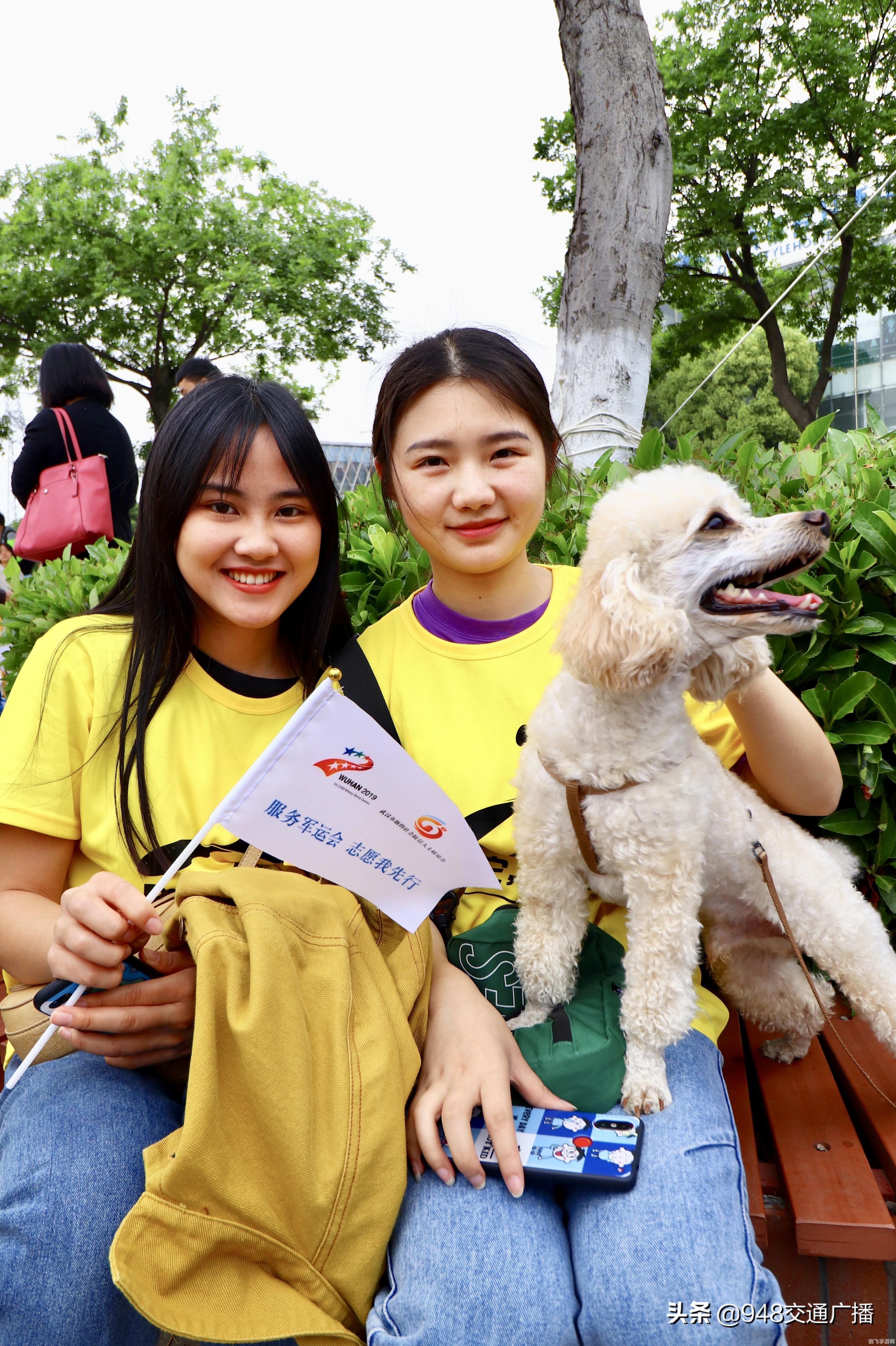 火炬之光2宠物,火炬之光2宠物养成与战斗攻略