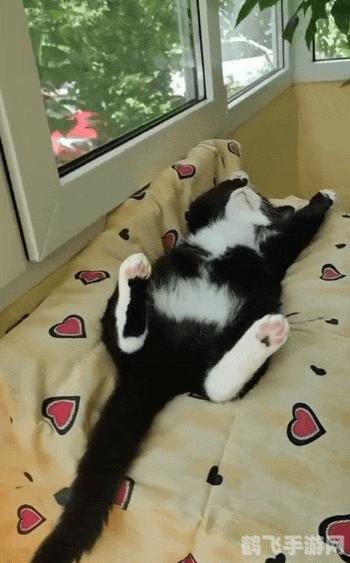 洛克王国毛懒懒怎么抓,洛克王国毛懒懒捕捉全攻略