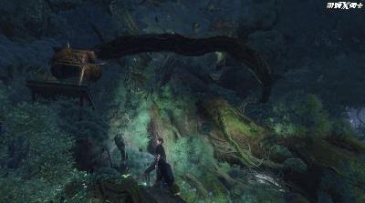 穿越火线新手礼包,穿越火线新手大礼包,助力新玩家快速融入激战!