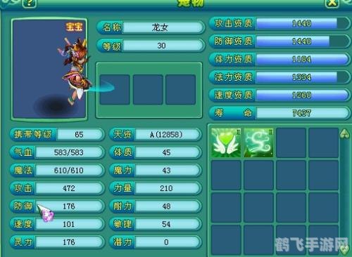 神武龙女技能,神武龙女技能全解析与实战应用