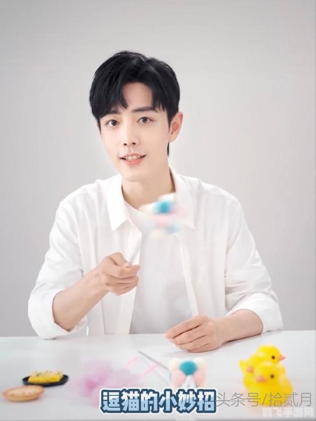 趣味减压桶攻略,减压道具大揭秘