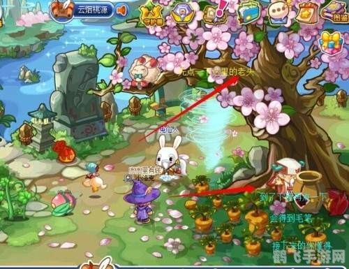 洛克王国云外孔桥,洛克王国探秘,云外孔桥攻略