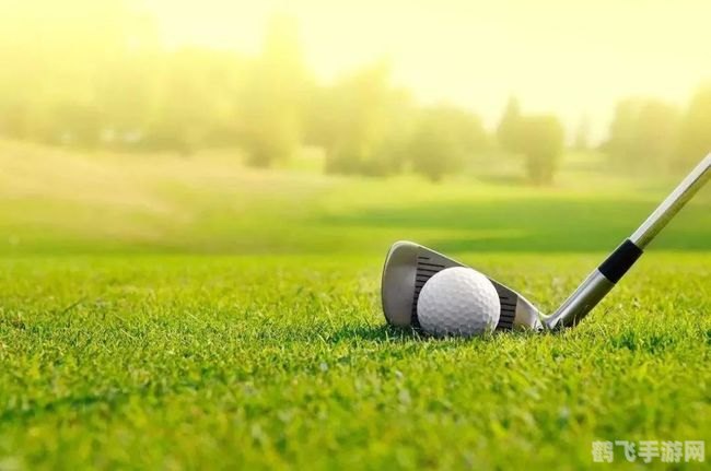 高尔夫大师,高尔夫大师游戏攻略，成为球场上的佼佼者