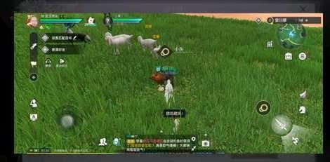 羊了个羊通关,羊了个羊手游通关秘籍,从入门到精通的全攻略