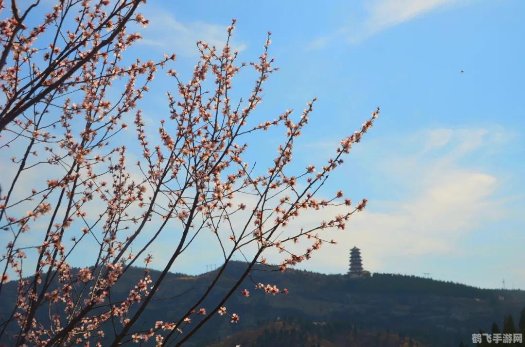 纸鸢app,纸鸢APP简介