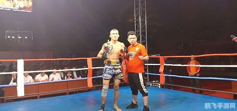 双人格斗小游戏大全,双人格斗小游戏大全，热血对决，谁与争锋！