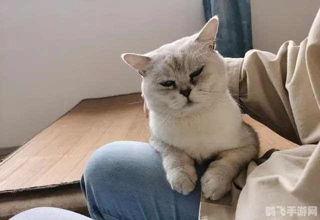 揭秘！这些动物的叫声竟与猫咪如此相似！