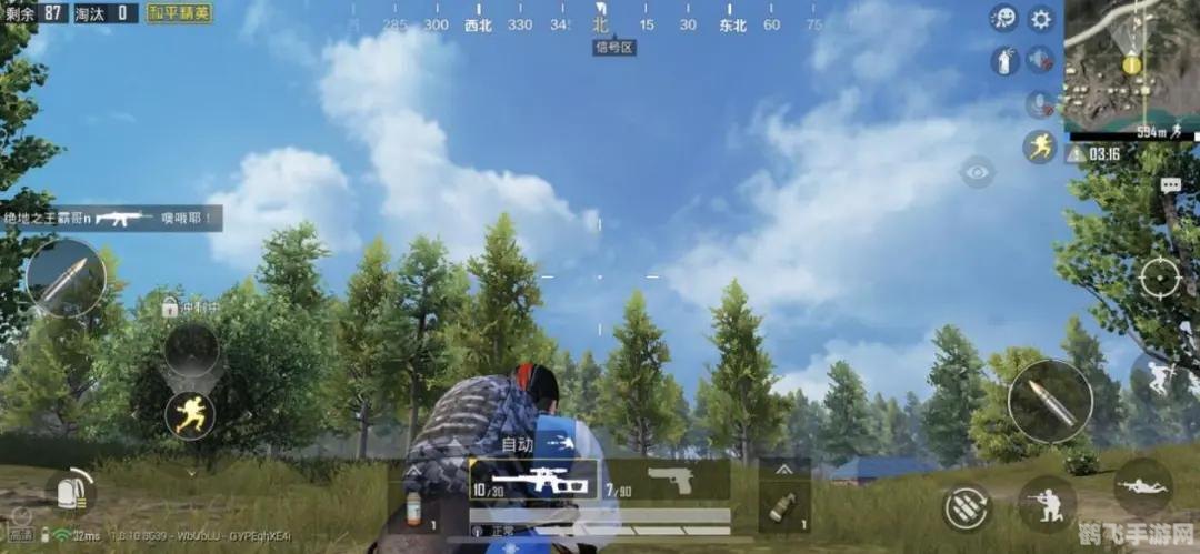 和平精英壁纸大全,和平精英