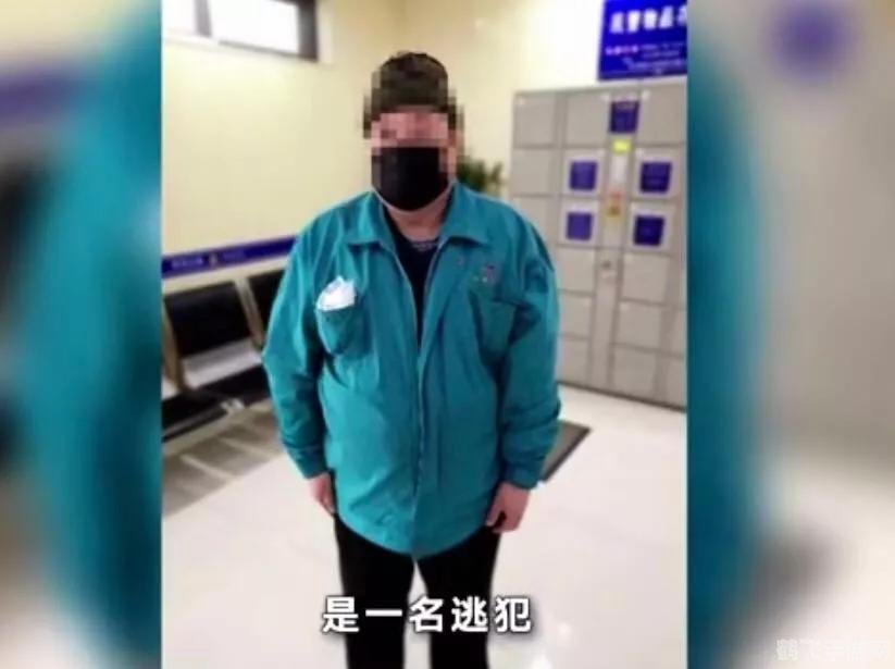 乖乖猪世界2009贺岁版冒险之旅开启